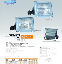 网络工程 编织数字社会的基石